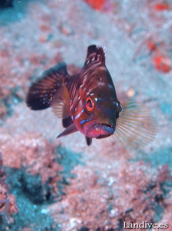 PB291379s.jpg - OLYMPUS DIGITAL CAMERA