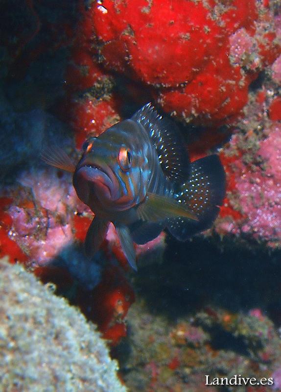 PB291397ss.jpg - OLYMPUS DIGITAL CAMERA