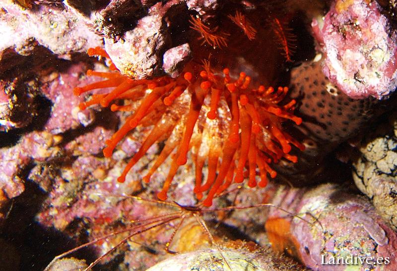 PB291467s.jpg - OLYMPUS DIGITAL CAMERA