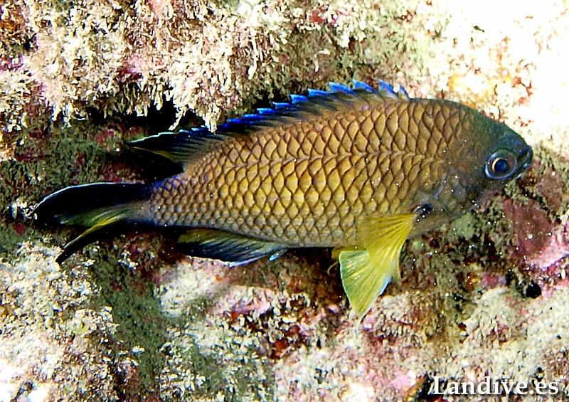 PC121808s.jpg - OLYMPUS DIGITAL CAMERA