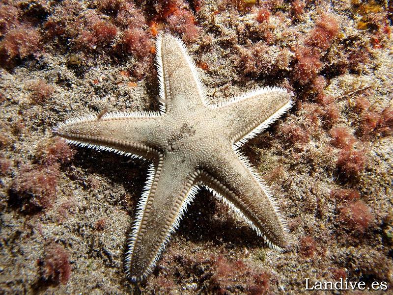 PC272390s.jpg - OLYMPUS DIGITAL CAMERA